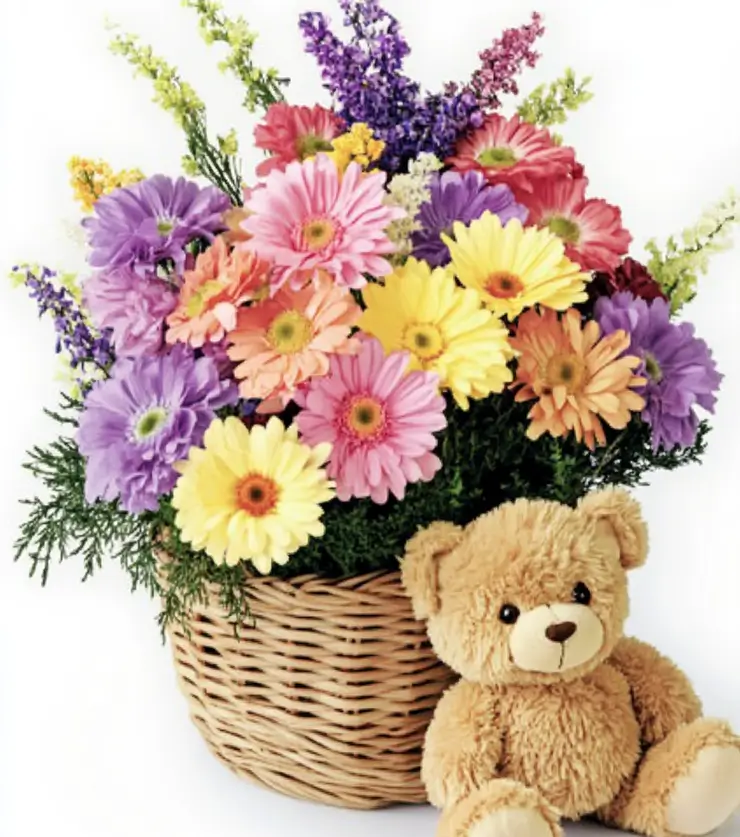Get Well Basket & Teddy Bear