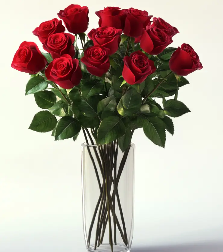 One Dozen Red Roses