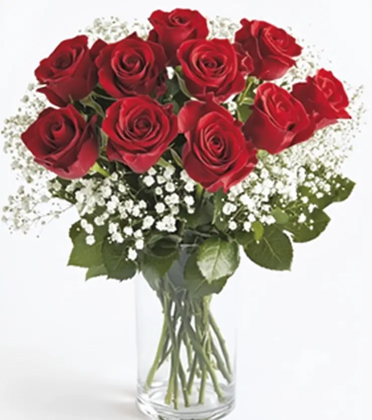 Twelve red roses
