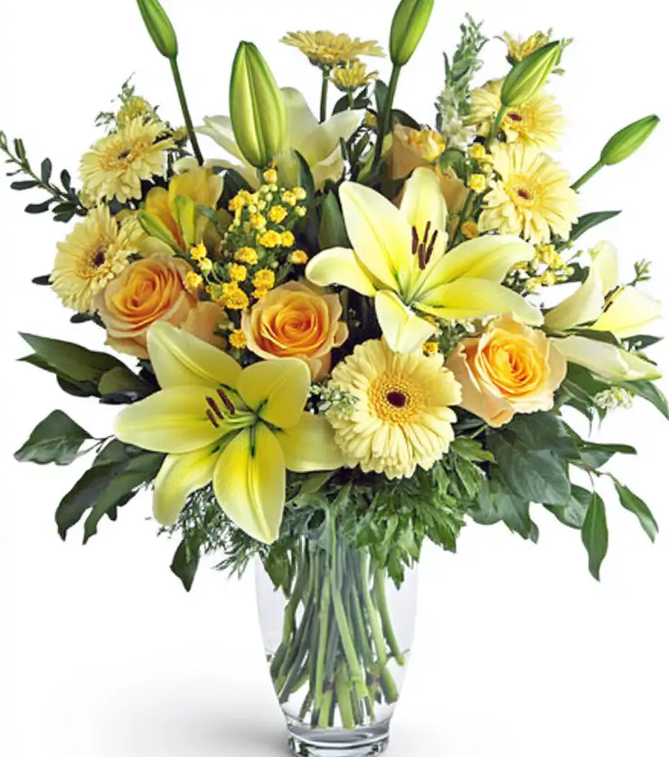 Colorful Expressions