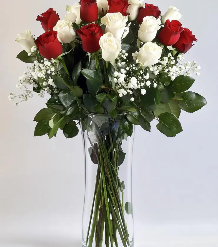 One Dozen White Roses