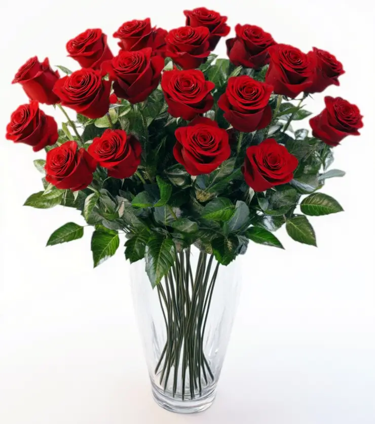 Luxurious Red Roses