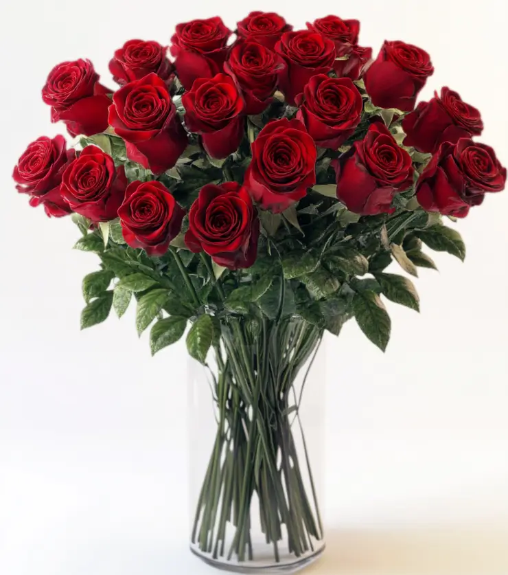 Luxurious Red Roses