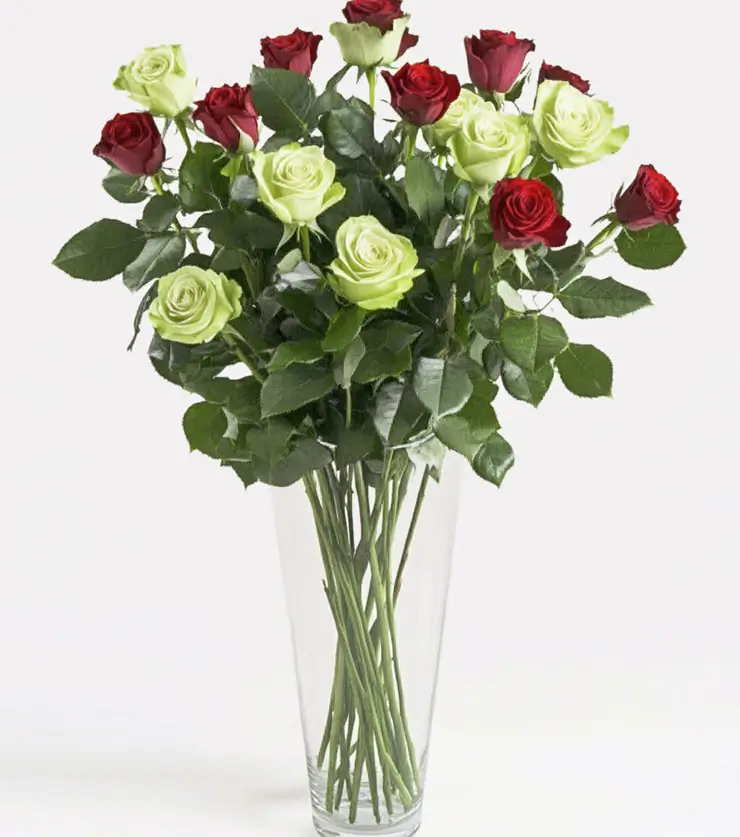 Luxurious 24 White Roses