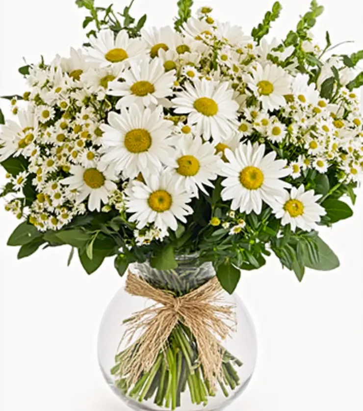All-White Shimmering Daisies
