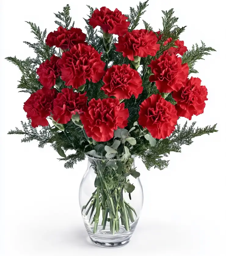 Send Get Well Wishes