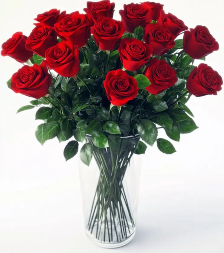 Luxurious Red Roses