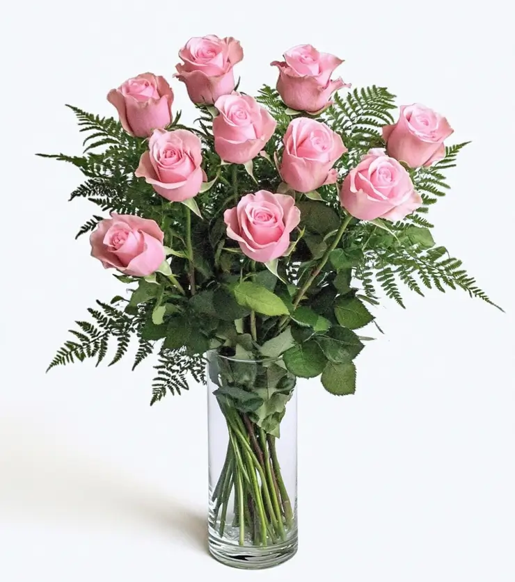 One Dozen Pink Roses
