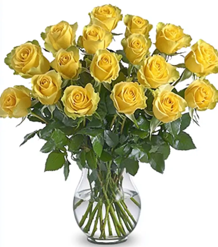 2 Dozen Yellow Roses
