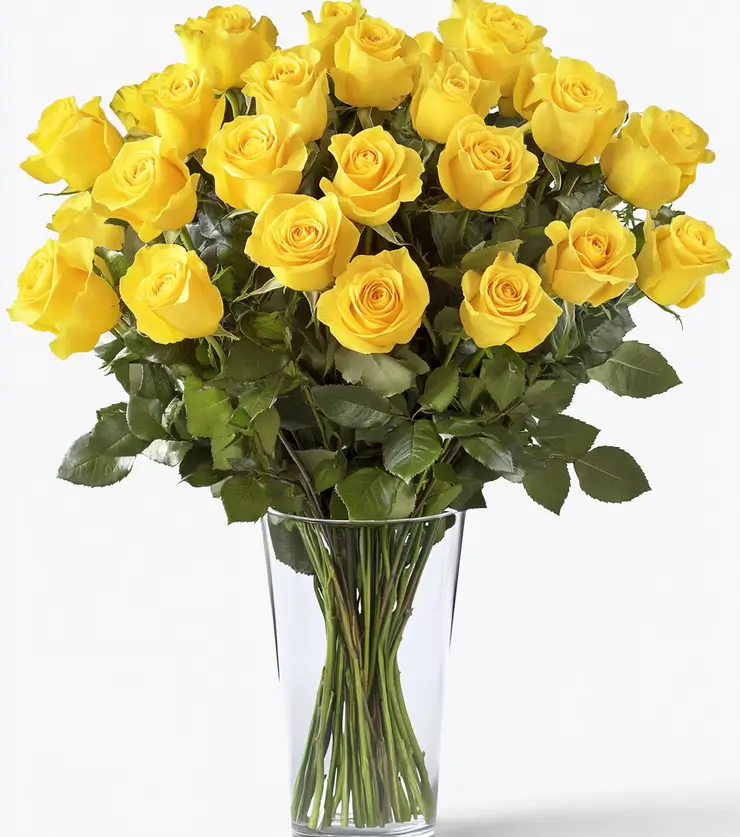 Two Dozen Yellow Roses