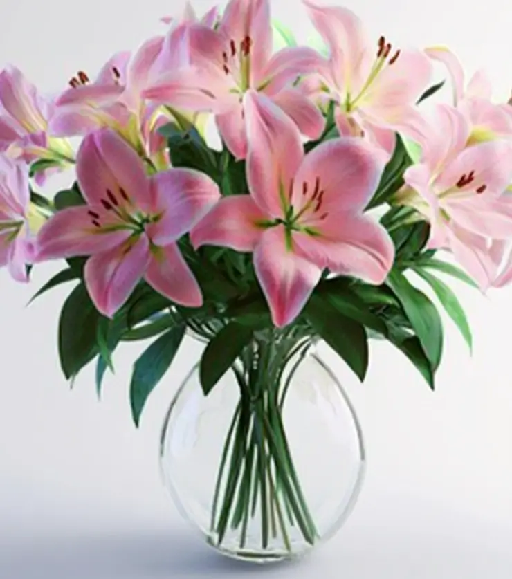 Loving Lilies
